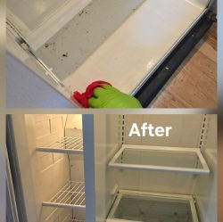 Split image: Top shows a dirty fridge shelf being wiped; bottom shows the fridge clean and empty with "After" text.